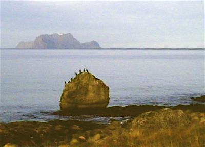 Fugleøy fra Russelv