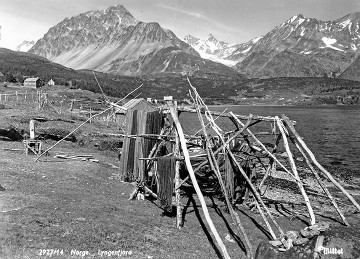 Huas fjæra